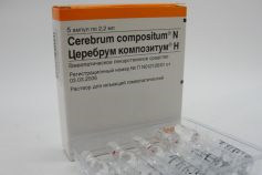 Церебрум композитум Н