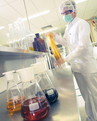 Фирма Хеель